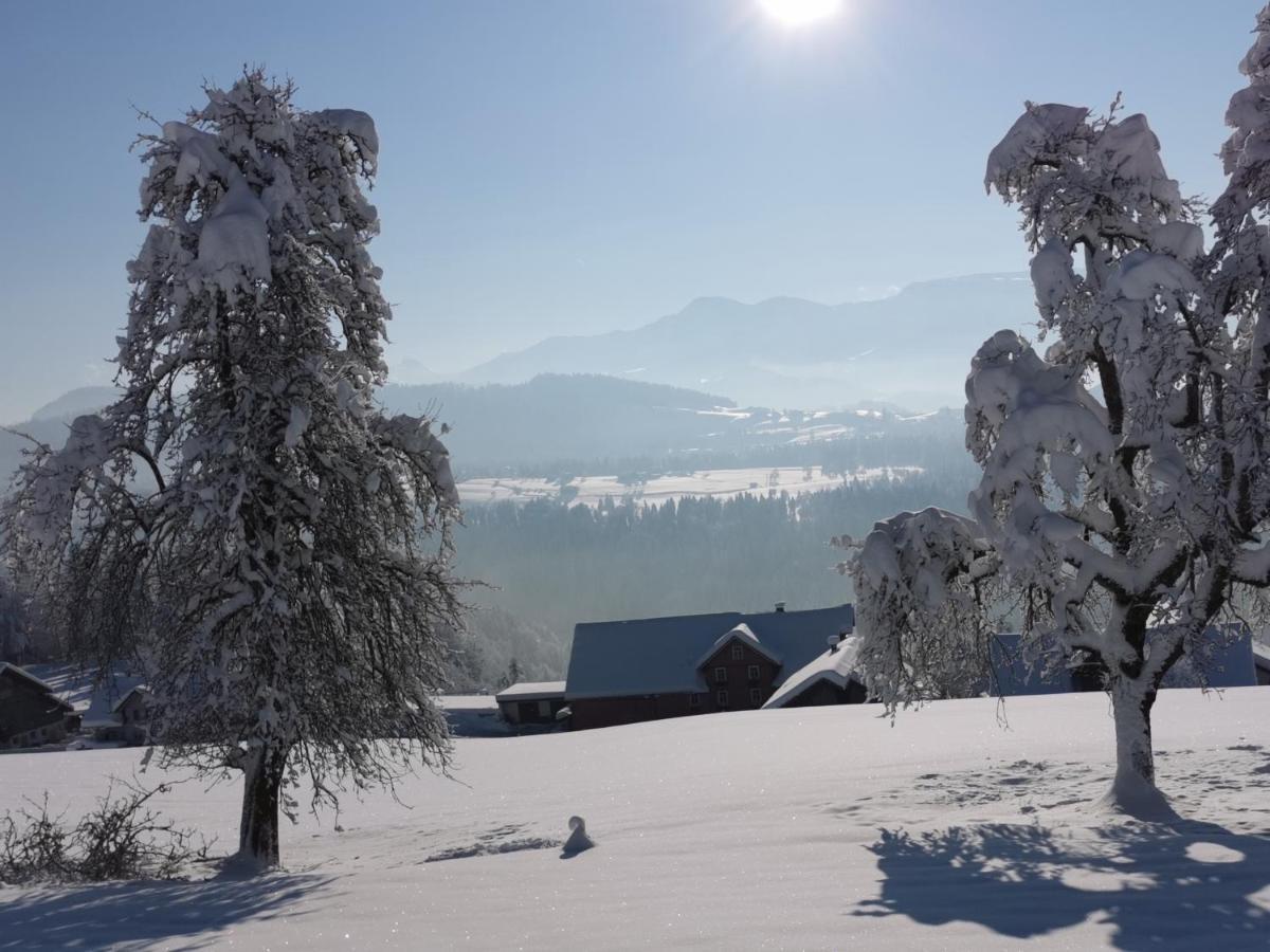 Ferienwohnung Panorama Doren 外观 照片